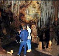 Tantanoola Caves Conservation Park - Accommodation Sunshine Coast