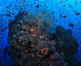 SS Yongala Dive Site - Accommodation Sunshine Coast 1