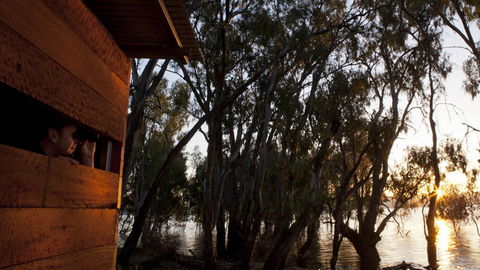 Murray Valley National Park - Accommodation Sunshine Coast 1
