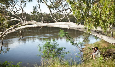 Murray Valley National Park - Accommodation Sunshine Coast 0
