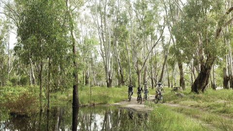 Murray Valley National Park - Accommodation Sunshine Coast 3