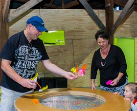 Twisted - Science At Play - Accommodation Sunshine Coast 2