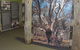 Barmah Forest Heritage And Education Centre - thumb 2