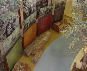 Barmah Forest Heritage And Education Centre - Accommodation Sunshine Coast 4