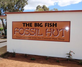 Big Fish Fossil Hut At Peak Hill - Accommodation Sunshine Coast 0