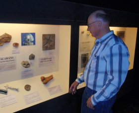 Big Fish Fossil Hut At Peak Hill - Accommodation Sunshine Coast 1