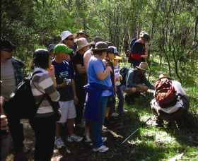 Warrumbungle National Park Discovery Program - Accommodation Sunshine Coast 0