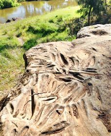 Terramungamine Rock Grooves - Accommodation Sunshine Coast 0