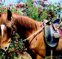 Western Plains Riding Centre - Accommodation Sunshine Coast