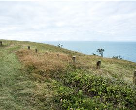 Cape Palmerston National Park - Accommodation Sunshine Coast 3