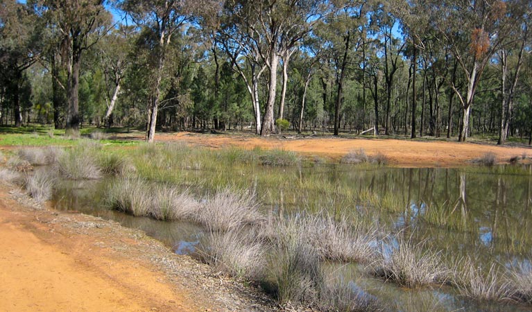 Beni NSW Accommodation Sunshine Coast