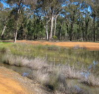 Beni State Conservation Area - Accommodation Sunshine Coast
