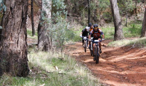 Beni State Conservation Area - Accommodation Sunshine Coast 2