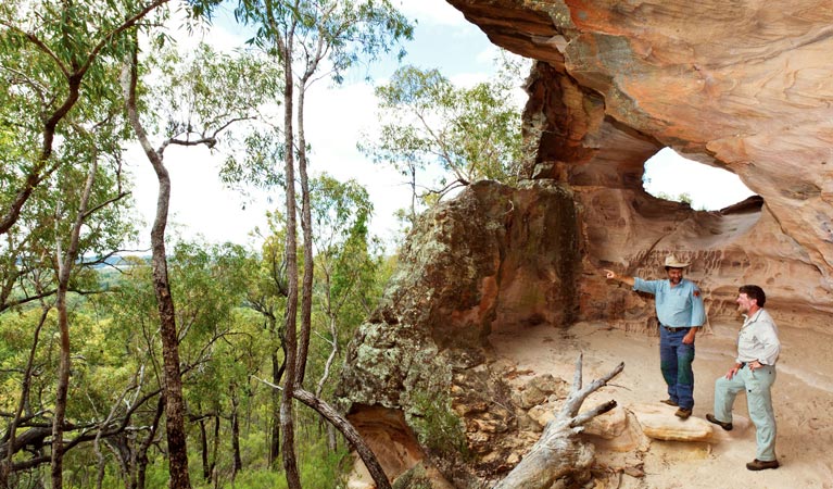 Dandry NSW Accommodation Sunshine Coast