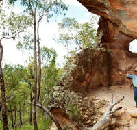 Pilliga National Park - Accommodation Sunshine Coast