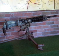 Woodpecker Gun