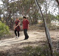 Tamma Parkland - Accommodation Sunshine Coast