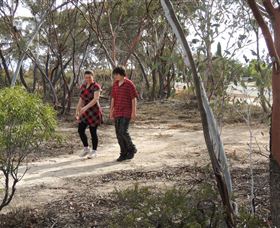 Tamma Parkland - Accommodation Sunshine Coast 0
