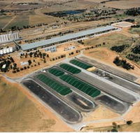 Co-operative Bulk Handling CBH Wheat Storage and Transfer Depot - Accommodation Sunshine Coast
