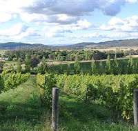 Sassy Wines - Accommodation Sunshine Coast