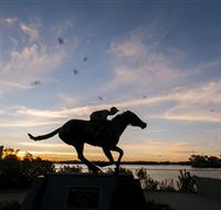 Black Caviar Statue - Accommodation Sunshine Coast