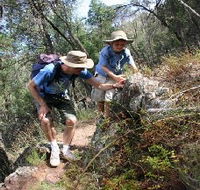 Mount Arthur Reserve - Accommodation Sunshine Coast
