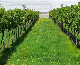 Paramoor Winery - Accommodation Sunshine Coast 6