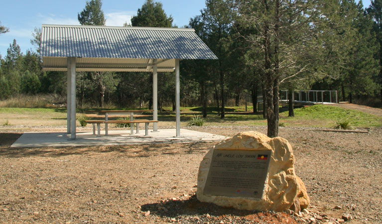 Terry Hie Hie NSW Accommodation Sunshine Coast