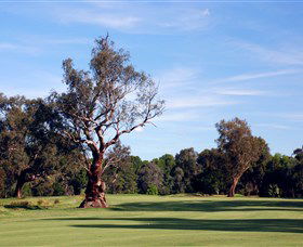 Corowa Golf Club - Accommodation Sunshine Coast 5