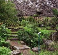 Burrendong Botanic Garden and Arboretum - Accommodation Sunshine Coast