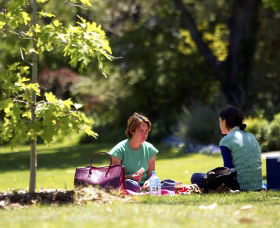 Botanic Gardens Wagga Wagga - Accommodation Sunshine Coast 0