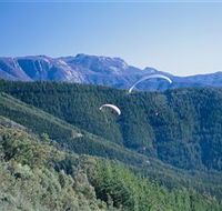Buffalo Brewery - Accommodation Sunshine Coast