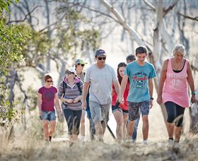 Winton Wetlands Reserve - Accommodation Sunshine Coast 0
