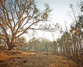 Winton Wetlands Reserve - Accommodation Sunshine Coast 2