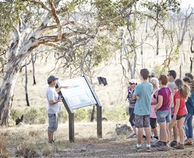 Winton Wetlands Reserve - Accommodation Sunshine Coast 5