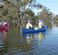 Doodle Cooma Swamp