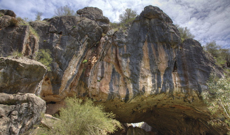 Borenore NSW Accommodation Sunshine Coast