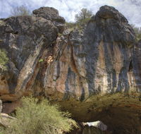 Borenore Karst Conservation Reserve - Accommodation Sunshine Coast