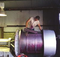 Orange Mountain Wines - Accommodation Sunshine Coast