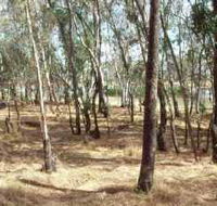 Chiltern-Mt Pilot National Park - Accommodation Sunshine Coast