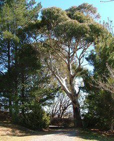 Habitat Vineyard - Accommodation Sunshine Coast 1