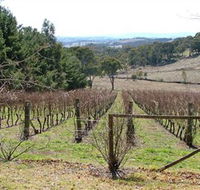 Habitat Vineyard - Accommodation Sunshine Coast