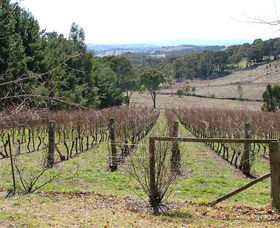 Habitat Vineyard - Accommodation Sunshine Coast 0