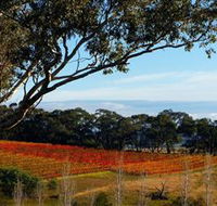 Bloodwood Estate - Accommodation Sunshine Coast