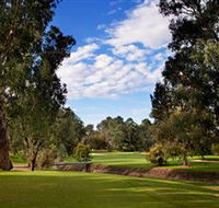 Commercial Golf Course - Accommodation Sunshine Coast