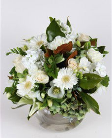 Judy Chirnside Flowers - Accommodation Sunshine Coast 3