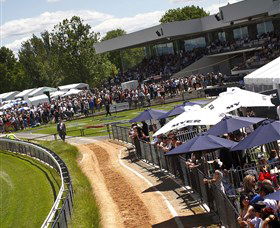 Thoroughbred Park Canberra Racing Club - Horse Racing In The Nations Capital - Accommodation Sunshine Coast 0