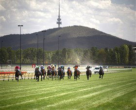 Thoroughbred Park Canberra Racing Club - Horse Racing In The Nations Capital - Accommodation Sunshine Coast 3