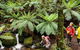 Baw Baw National Park - thumb 0