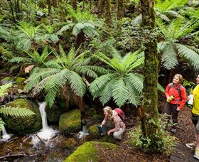 Baw Baw National Park - Accommodation Sunshine Coast 0
